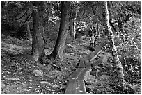 Family hiking on boardwalk. Acadia National Park, Maine, USA. (black and white)