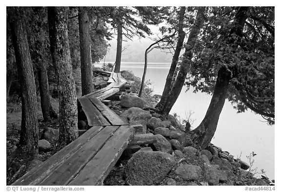 Boardwalk on shores of Jordan Pond. Acadia National Park, Maine, USA.