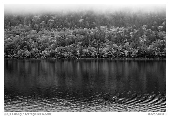 Trees in fall colors reflected in Jordan Pond. Acadia National Park, Maine, USA.