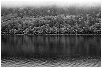 Trees in fall colors reflected in Jordan Pond. Acadia National Park, Maine, USA. (black and white)