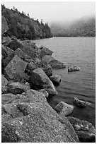 Rocky shore in autumn, Jordan Pond. Acadia National Park ( black and white)