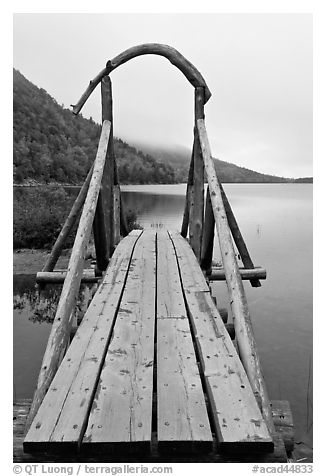 Footbridge and fog in autumn. Acadia National Park (black and white)