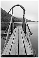 Footbridge and fog in autumn. Acadia National Park ( black and white)