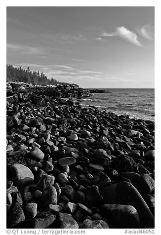 Round bouders, low tide coastline, Schoodic Peninsula. Acadia National Park (black and white)