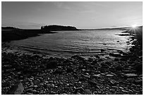 Cove and Pond Island, sunset, Schoodic Peninsula. Acadia National Park ( black and white)