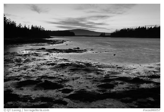 West Pond, sunset, Schoodic Peninsula. Acadia National Park (black and white)