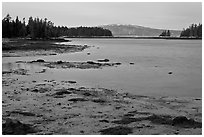 West Pond and snowy Cadillac Mountain, dawn, Schoodic Peninsula. Acadia National Park ( black and white)