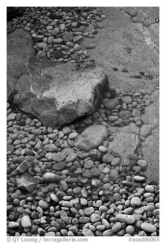 Pebbles in and out of water, Schoodic Peninsula. Acadia National Park, Maine, USA.