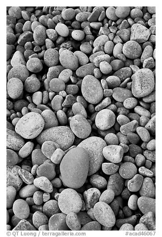 Close-up of smooth pebbles, Schoodic Peninsula. Acadia National Park (black and white)