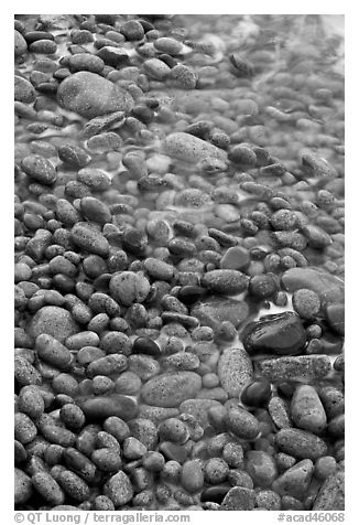 Close-up of pebbles and water, Schoodic Peninsula. Acadia National Park (black and white)