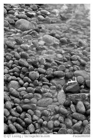 Close-up of pebbles and water, Schoodic Peninsula. Acadia National Park, Maine, USA.