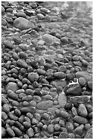 Close-up of pebbles and water, Schoodic Peninsula. Acadia National Park, Maine, USA. (black and white)