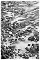 Close-up of pebbles in surf, Schoodic Peninsula. Acadia National Park, Maine, USA. (black and white)