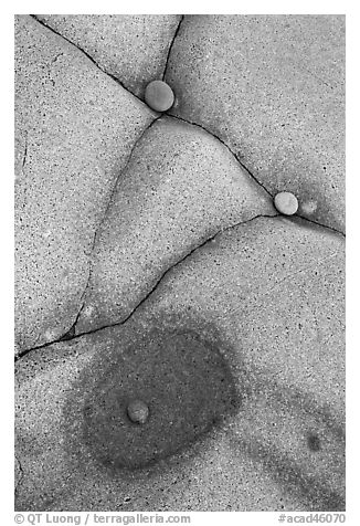 Close-up of pebbles and rock cracks, Schoodic Peninsula. Acadia National Park (black and white)