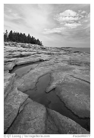 Slabs and puddles near Schoodic Point. Acadia National Park (black and white)