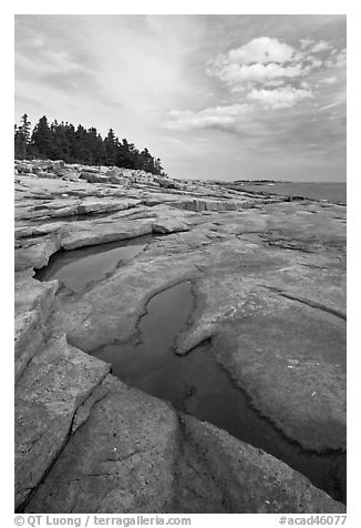 Slabs and puddles near Schoodic Point. Acadia National Park, Maine, USA.