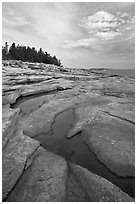 Slabs and puddles near Schoodic Point. Acadia National Park ( black and white)