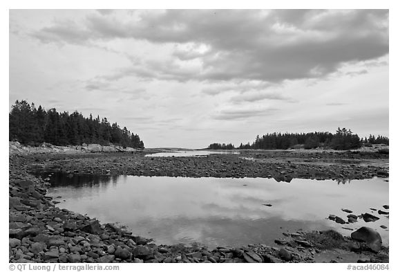 East Pond, Schoodic Peninsula. Acadia National Park (black and white)