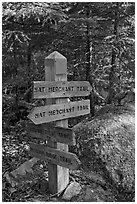 Signs at trail junction, Isle Au Haut. Acadia National Park, Maine, USA. (black and white)