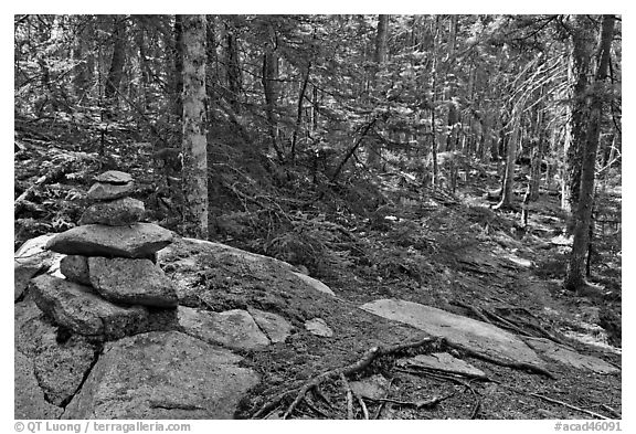 Cairn on trail, Isle Au Haut. Acadia National Park, Maine, USA.