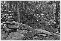 Cairn on trail, Isle Au Haut. Acadia National Park ( black and white)