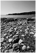 Streams flows into cove, Isle Au Haut. Acadia National Park ( black and white)