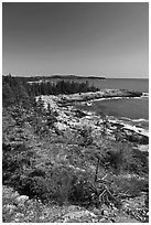 Rocky coastline, Isle Au Haut. Acadia National Park ( black and white)