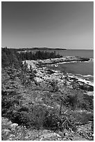 Rocky coastline, Isle Au Haut. Acadia National Park ( black and white)