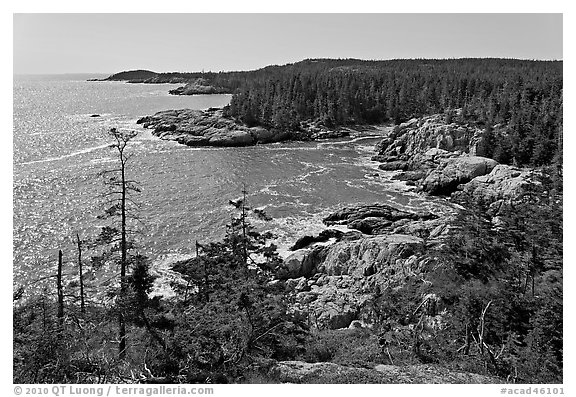 Coastline seen from Goat Trail, Isle Au Haut. Acadia National Park (black and white)