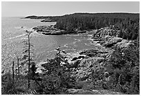 Coastline seen from Goat Trail, Isle Au Haut. Acadia National Park ( black and white)