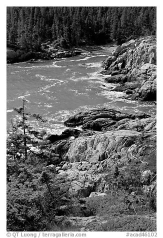 Squeaker Cove from above, Isle Au Haut. Acadia National Park (black and white)