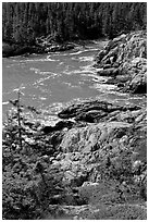 Squeaker Cove from above, Isle Au Haut. Acadia National Park ( black and white)