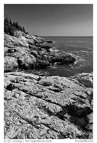Rocky ocean shoreline, Isle Au Haut. Acadia National Park (black and white)