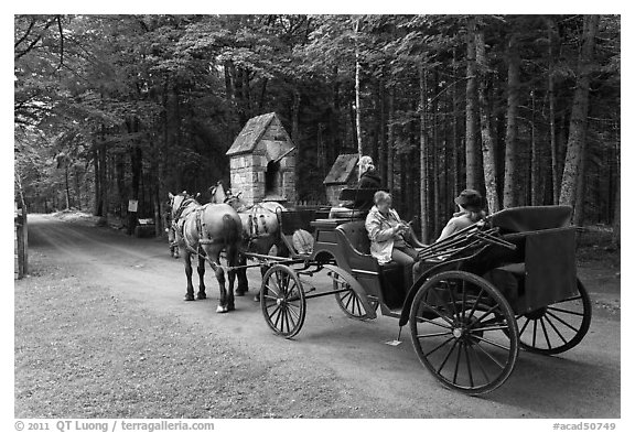 Horse carriage. Acadia National Park (black and white)
