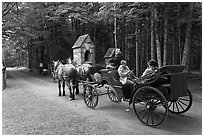 Horse carriage. Acadia National Park, Maine, USA. (black and white)