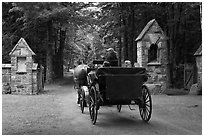 Carriage passing through carriage road gate. Acadia National Park, Maine, USA. (black and white)