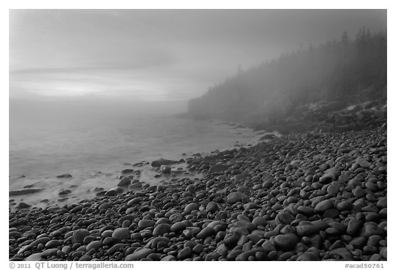 Boulder beach and cliffs in fog, dawn. Acadia National Park, Maine, USA.