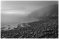 Boulder beach and cliffs in fog, dawn. Acadia National Park, Maine, USA. (black and white)