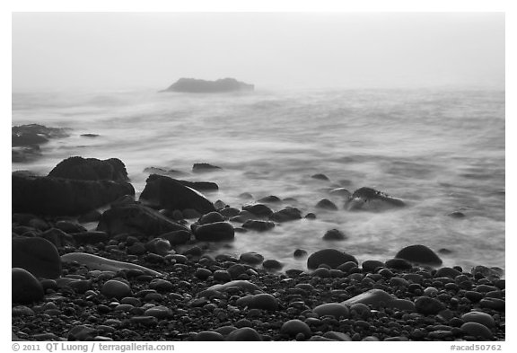 Boulders and ocean, foggy sunrise. Acadia National Park (black and white)