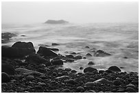 Boulders and ocean, foggy sunrise. Acadia National Park ( black and white)