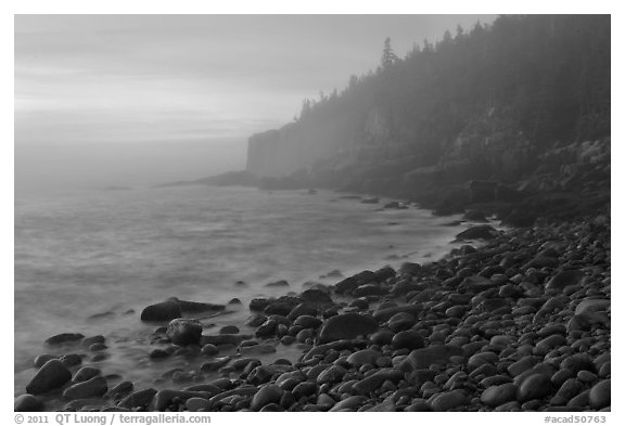 Otter cliff and cobblestones on misty morning. Acadia National Park, Maine, USA.