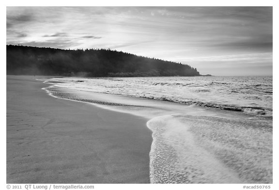 Deserted Sand Beach at dawn. Acadia National Park (black and white)