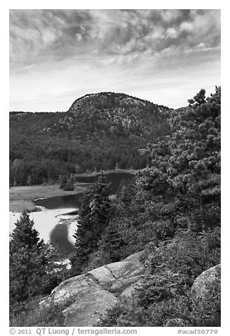 Tidal creek and Behive. Acadia National Park (black and white)