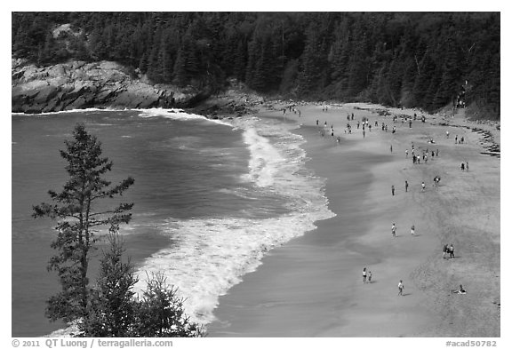 Sand Beach from above. Acadia National Park (black and white)