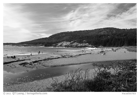 Tidal creek and Sand Beach. Acadia National Park, Maine, USA.