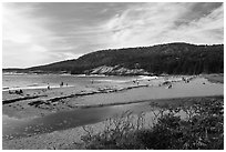 Tidal creek and Sand Beach. Acadia National Park, Maine, USA. (black and white)