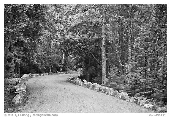 Carriage road in summer. Acadia National Park (black and white)