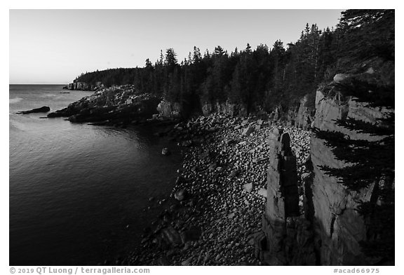 Monument Cove. Acadia National Park (black and white)