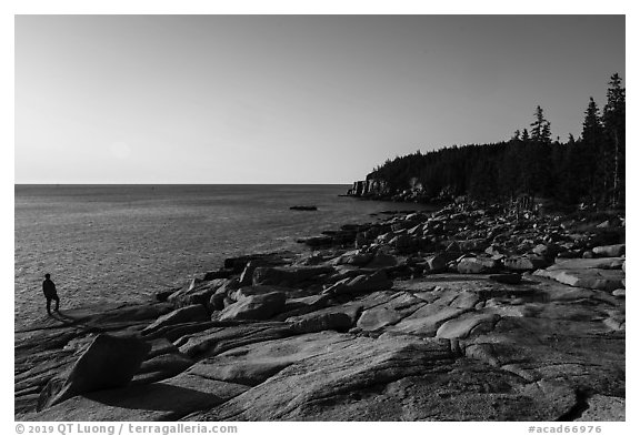 Visitor looking, near Otter Point. Acadia National Park (black and white)