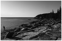 Visitor looking, near Otter Point. Acadia National Park ( black and white)